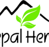 Partner 3